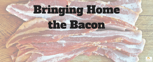 Bringing-home-the-bacon