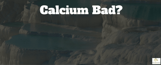 Calcium-supplements-are-bad-for-you