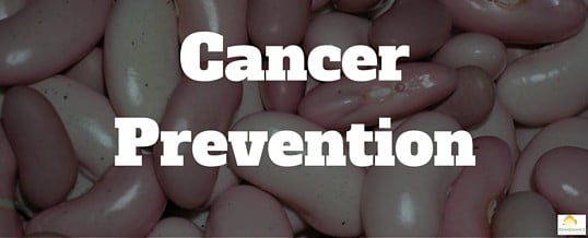 How to prevent from getting cancer.
