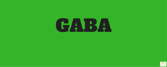 Gaba-for-anxiety