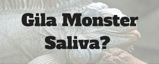 Gila-monster-saliva