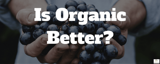 Is-organic-better