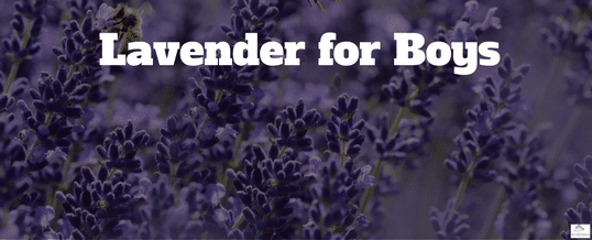 lavender-for-boys