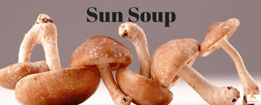 Sun's soup and its anti-cancerous effect