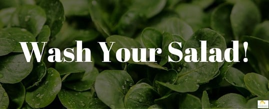 How to disinfect your salad properly.
