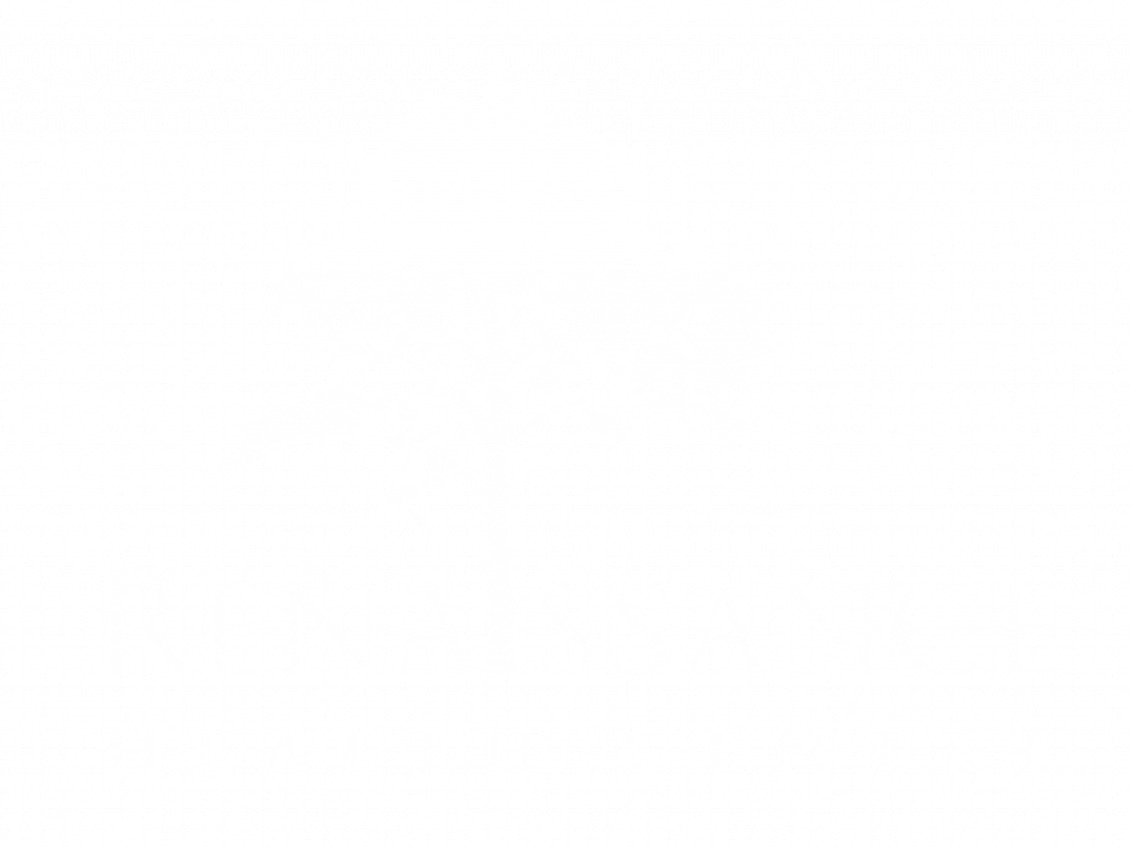 Renaissance White Logo