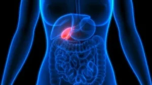 Gallbladder image