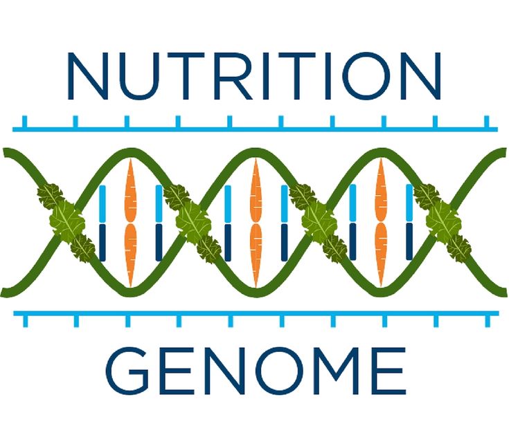 nutrition genome double helix