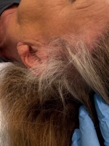 Uploaded image () Uploaded image ()